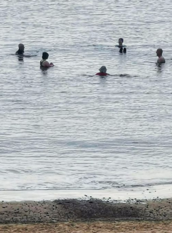 swimmers in the sea